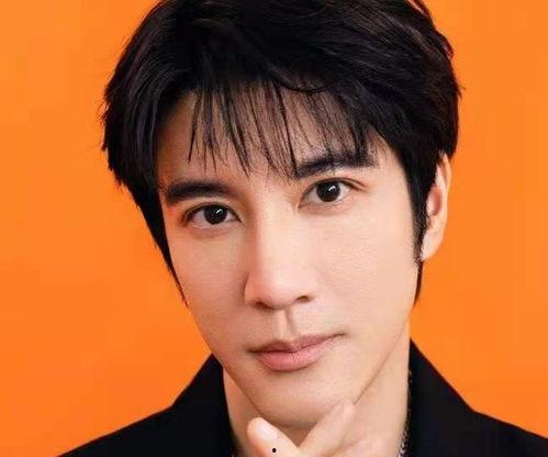 娱乐圈吃瓜王力宏是谁啊,揭秘王力宏的传奇故事