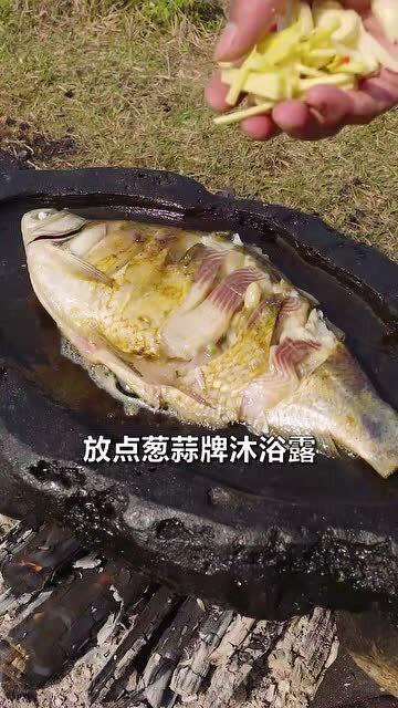 娱乐吃瓜鱼,揭秘明星幕后故事与热点事件 第3张 娱乐吃瓜鱼,揭秘明星幕后故事与热点事件 第3张