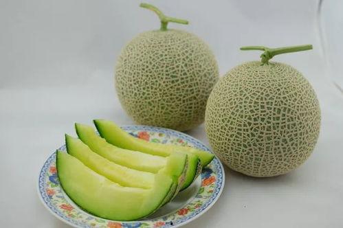 娱乐家吃瓜,揭秘“吃瓜”背后的娱乐真相 第2张 娱乐家吃瓜,揭秘“吃瓜”背后的娱乐真相 第2张