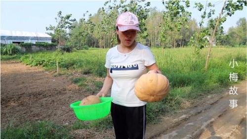 梅子娱乐吃瓜,吃瓜事件背后的娱乐圈真相 第3张 梅子娱乐吃瓜,吃瓜事件背后的娱乐圈真相 第3张