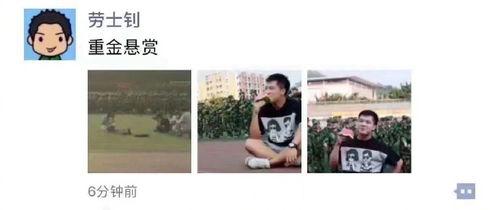 吃瓜娱乐图片搞笑,吃瓜娱乐图片搞笑集锦