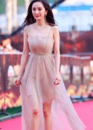 娱乐吃瓜离婚女星,揭秘明星婚姻背后的故事