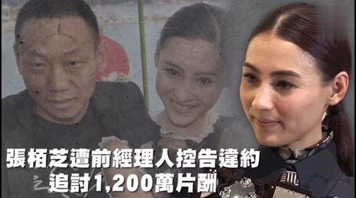 吃瓜娱乐疯子,吃瓜娱乐疯子的疯狂世界