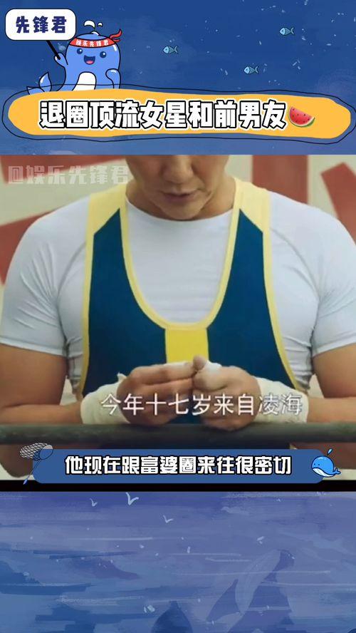 吃瓜群众娱乐播报,网络热点事件背后的趣味与思考