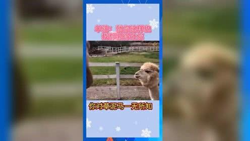 吃瓜群众娱乐素材,娱乐素材中的网络围观现象 第3张 吃瓜群众娱乐素材,娱乐素材中的网络围观现象 第3张