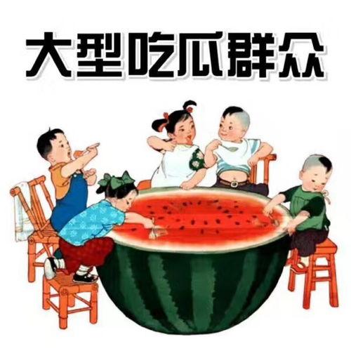 娱乐吃瓜小灵通,娱乐小灵通的趣味生活