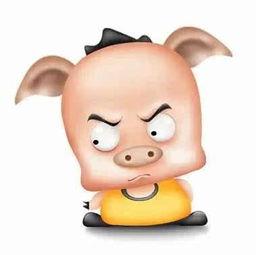 吃瓜猪娱乐 第1张 吃瓜猪娱乐 第1张