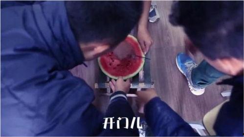吃瓜娱乐奇葩视频,揭秘奇葩视频背后的趣味与思考 第3张 吃瓜娱乐奇葩视频,揭秘奇葩视频背后的趣味与思考 第3张
