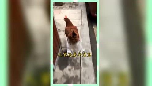 娱乐吃瓜群众分享,揭秘明星幕后故事 第3张 娱乐吃瓜群众分享,揭秘明星幕后故事 第3张