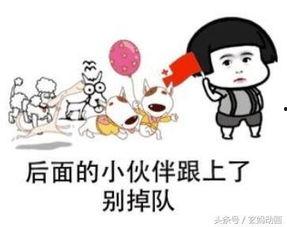 娱乐吃瓜老王,揭秘娱乐圈幕后故事 第3张 娱乐吃瓜老王,揭秘娱乐圈幕后故事 第3张