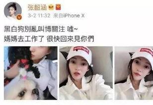 娱乐吃瓜酱考试,揭秘娱乐圈幕后真相 第2张 娱乐吃瓜酱考试,揭秘娱乐圈幕后真相 第2张