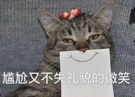 娱乐吃瓜君猫 第2张 娱乐吃瓜君猫 第2张