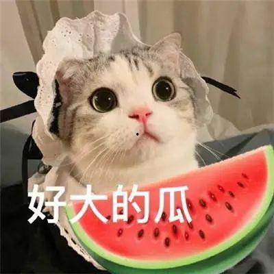 娱乐吃瓜酱寝室,揭秘校园里的欢乐八卦圈 第2张 娱乐吃瓜酱寝室,揭秘校园里的欢乐八卦圈 第2张