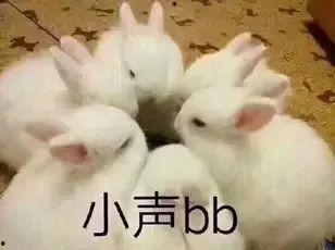 娱乐吃瓜兔,揭秘娱乐圈那些不为人知的幕后故事  第2张