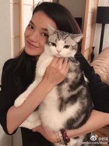 娱乐吃瓜少女喵,揭秘娱乐圈那些不为人知的幕后故事  第3张