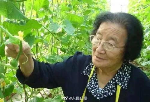 娱乐吃瓜酱一半是植物人,揭秘娱乐吃瓜酱背后的绿色秘密 第2张 娱乐吃瓜酱一半是植物人,揭秘娱乐吃瓜酱背后的绿色秘密 第2张