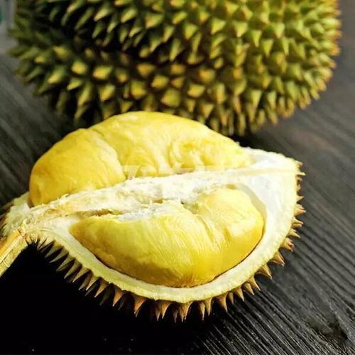 吃瓜娱乐间榴莲,热带果王背后的传奇与争议 第1张 吃瓜娱乐间榴莲,热带果王背后的传奇与争议 第1张