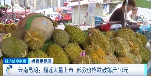 吃瓜娱乐间榴莲,热带果王背后的传奇与争议 第2张 吃瓜娱乐间榴莲,热带果王背后的传奇与争议 第2张