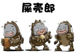 娱乐吃瓜酱屎壳郎,吃瓜酱屎壳郎的趣味人生 第3张 娱乐吃瓜酱屎壳郎,吃瓜酱屎壳郎的趣味人生 第3张