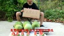 娱乐吃瓜搞笑视频,笑出腹肌的瞬间 第3张 娱乐吃瓜搞笑视频,笑出腹肌的瞬间 第3张