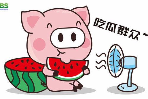娱乐八卦一定是吃瓜群众的,揭秘“吃瓜群众”的娱乐八卦盛宴 第3张 娱乐八卦一定是吃瓜群众的,揭秘“吃瓜群众”的娱乐八卦盛宴 第3张