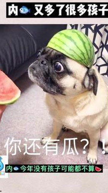 娱乐吃瓜酱宝宝,揭秘娱乐圈那些不为人知的幕后故事 第2张 娱乐吃瓜酱宝宝,揭秘娱乐圈那些不为人知的幕后故事 第2张