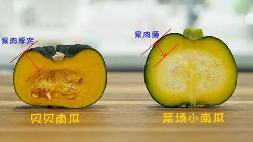 娱乐吃瓜小南瓜,南瓜带你领略娱乐圈的甜蜜与苦涩 第3张 娱乐吃瓜小南瓜,南瓜带你领略娱乐圈的甜蜜与苦涩 第3张